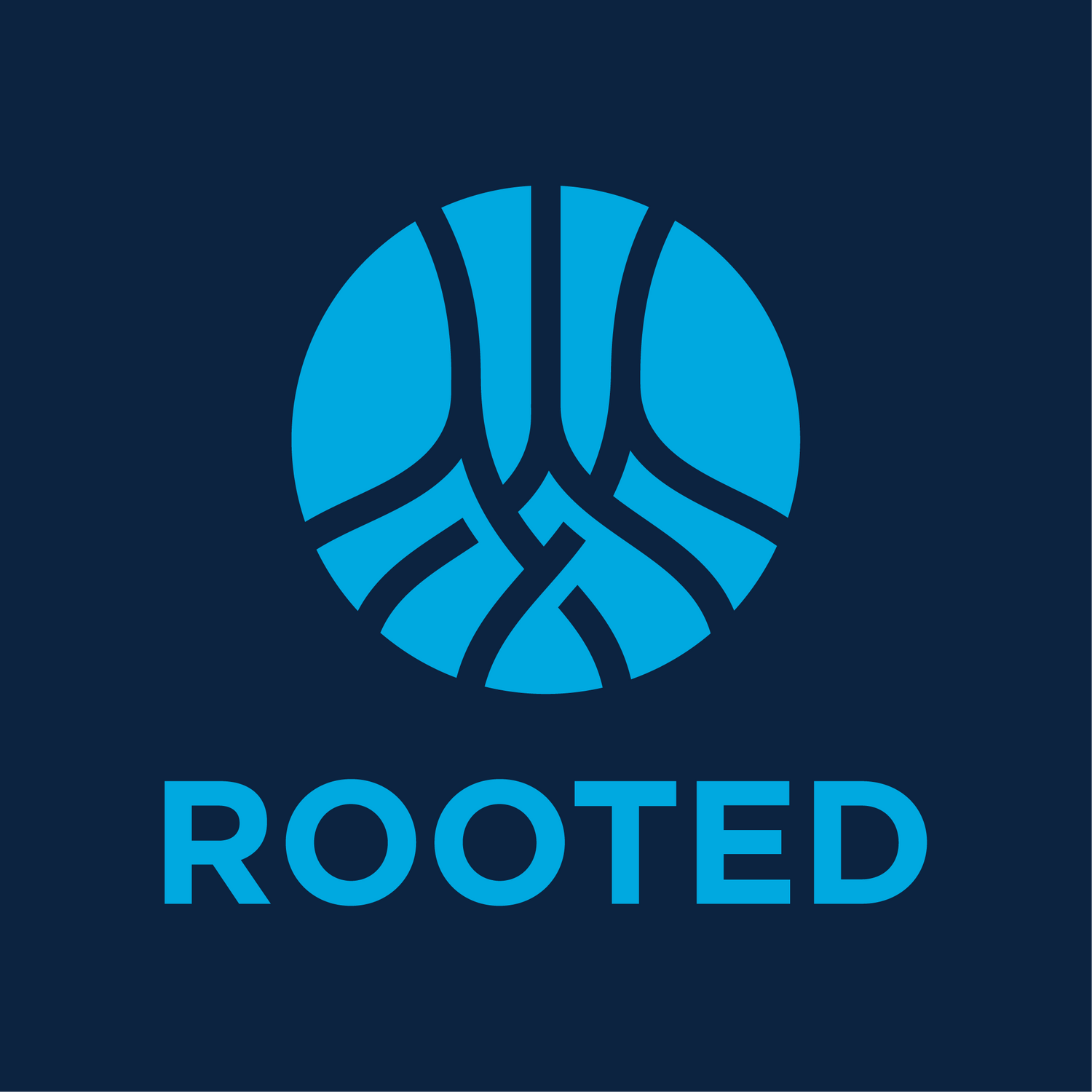 Willow Rooted