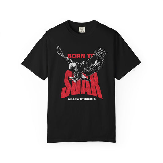 WILLOW STUDENTS - BORN TO SOAR
